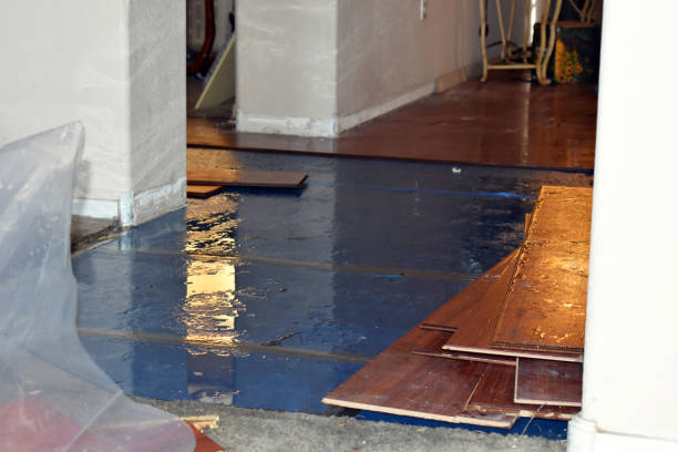 Professional Emergency Water Damage Restoration technician working in Everett, MA